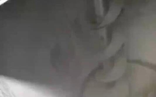 雙螺旋混合機